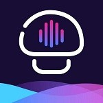 午夜播放器app下载入口