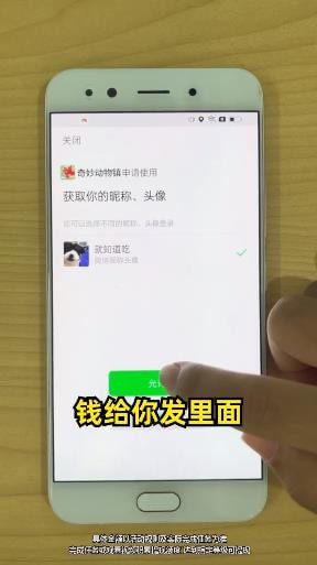 奇妙动物镇2