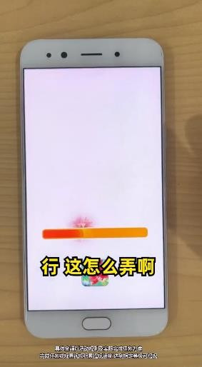 奇妙动物镇1
